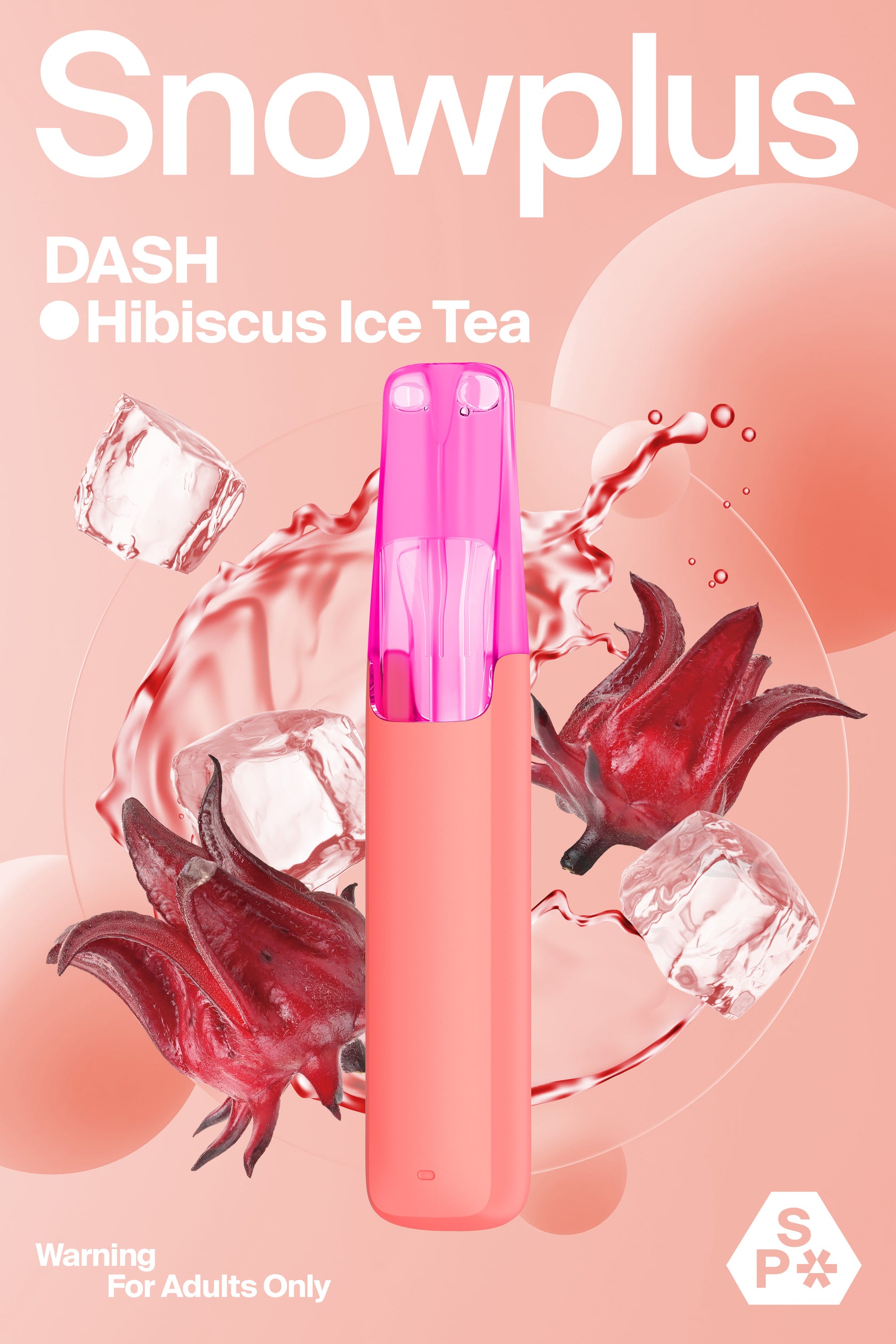 SNOWPLUS DASH 4000口